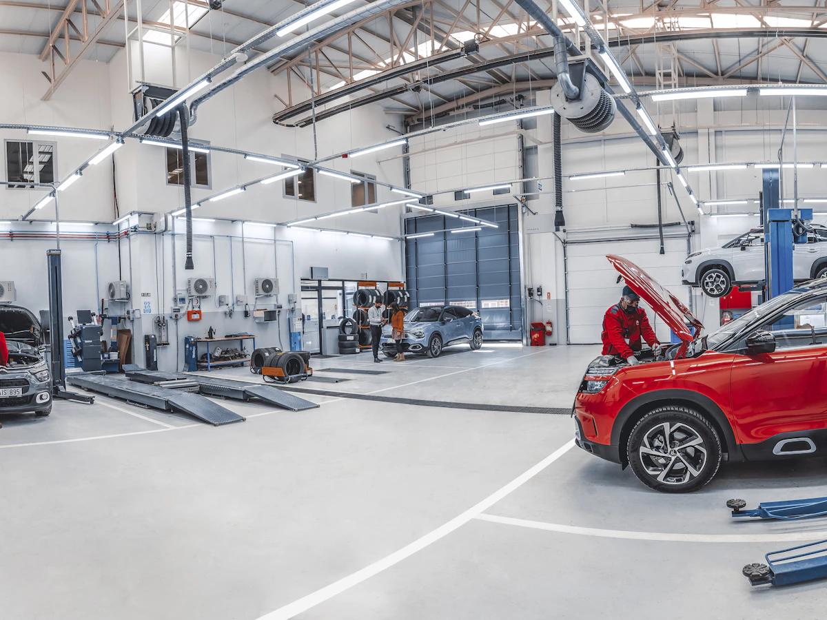 Mechanics working on vehicles in a bright service workshop